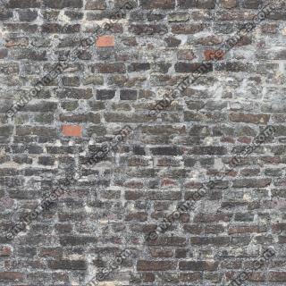 Seamless Textures of Wall Bricks + Normal & Bump Mapping